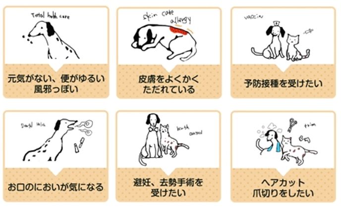 動物病院紹介ページのイラスト