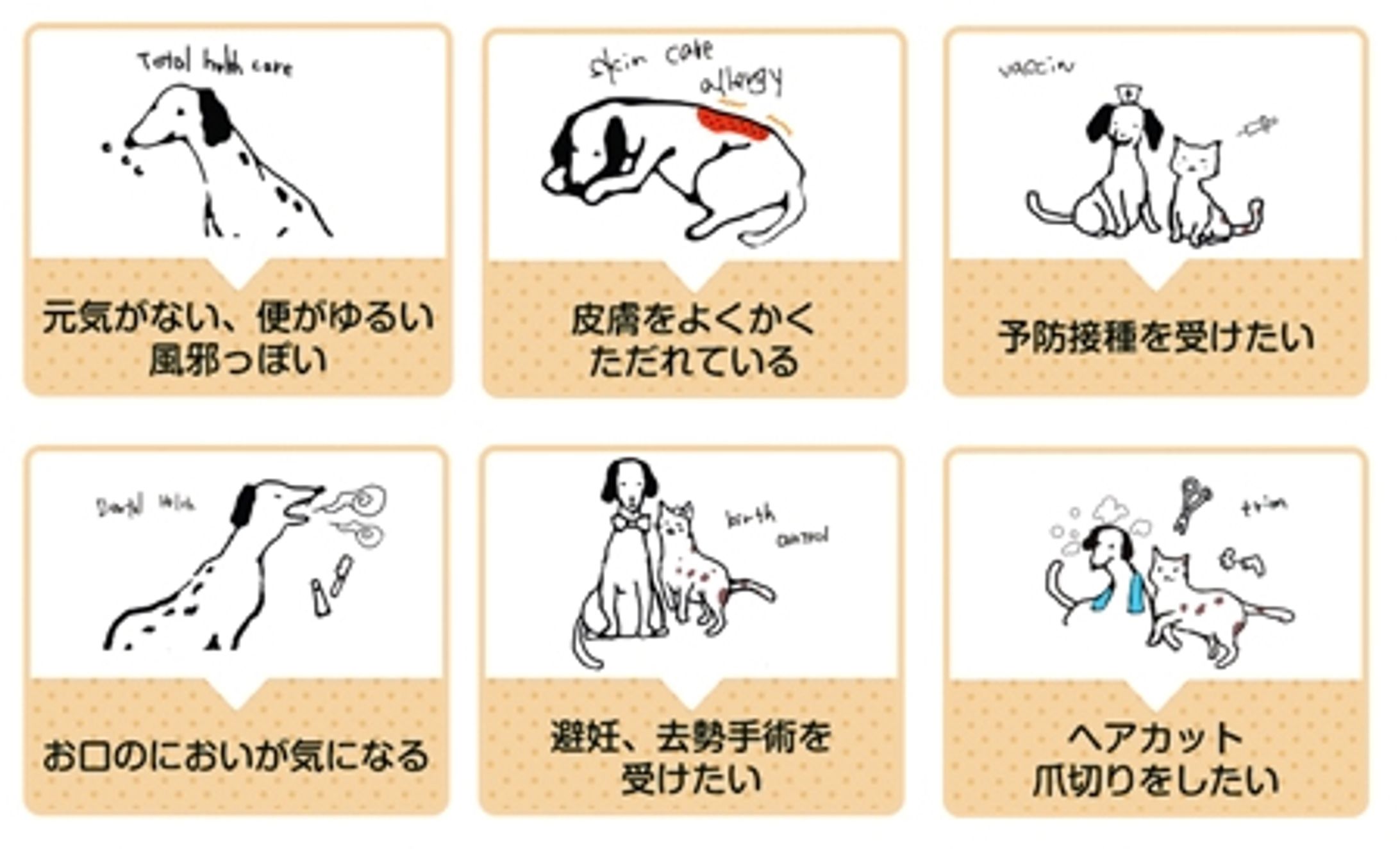 動物病院紹介ページのイラスト-1