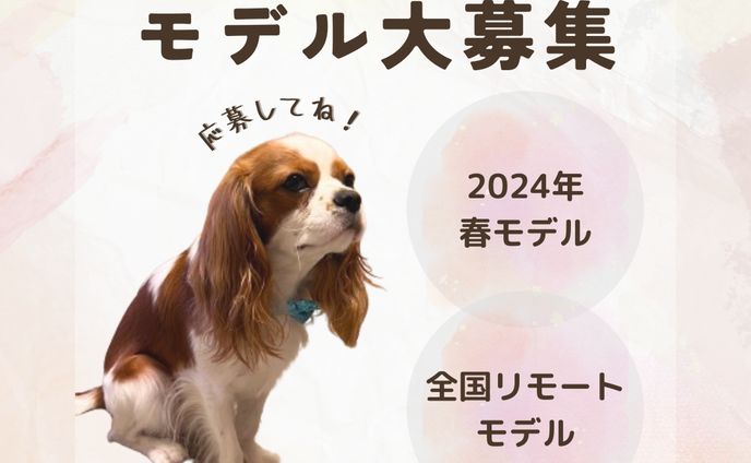 【Instagram】モデル犬募集投稿