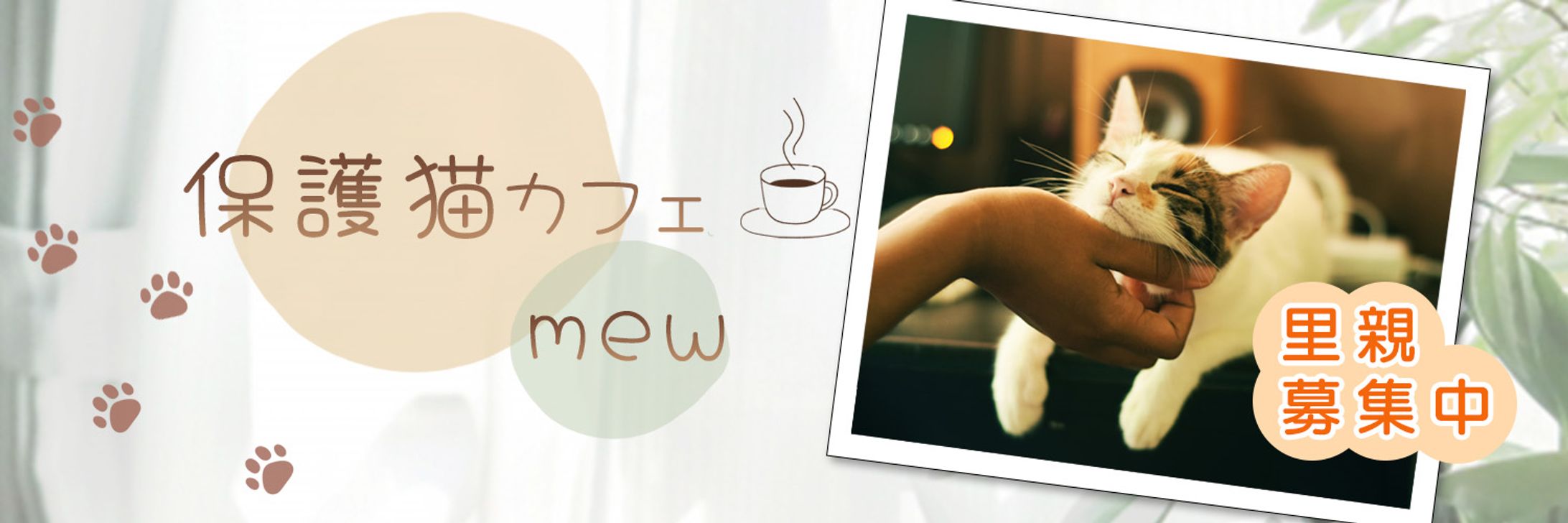 【Xヘッダー】保護猫カフェ-1