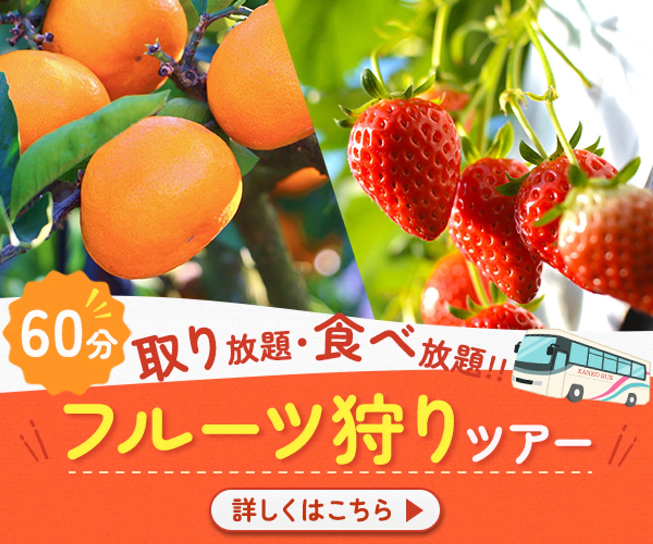 Banner : fruit-1