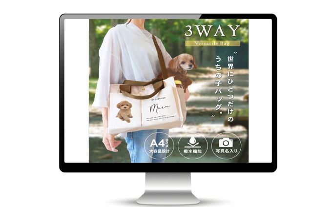 オリジナル3WAYバッグのLP制作