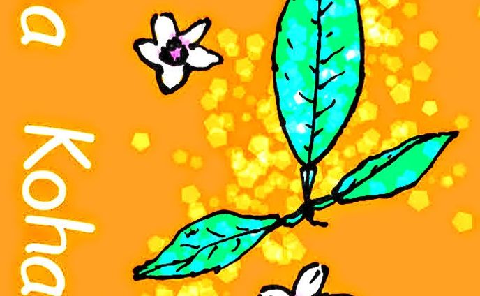 写真、趣味絵