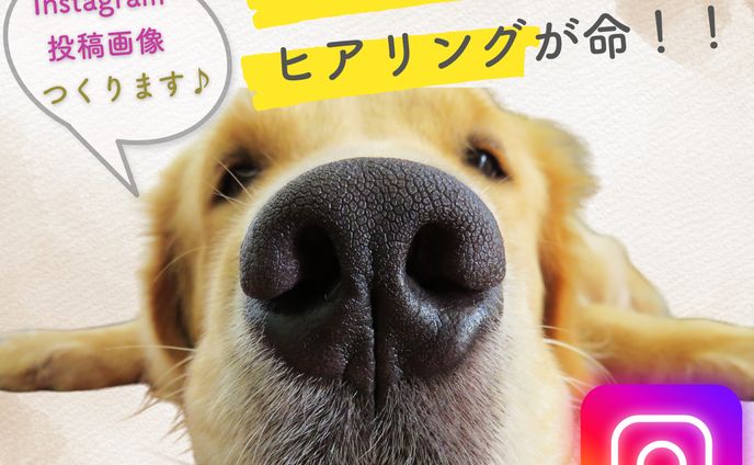 ココナラ出品画像①Instagram投稿画像