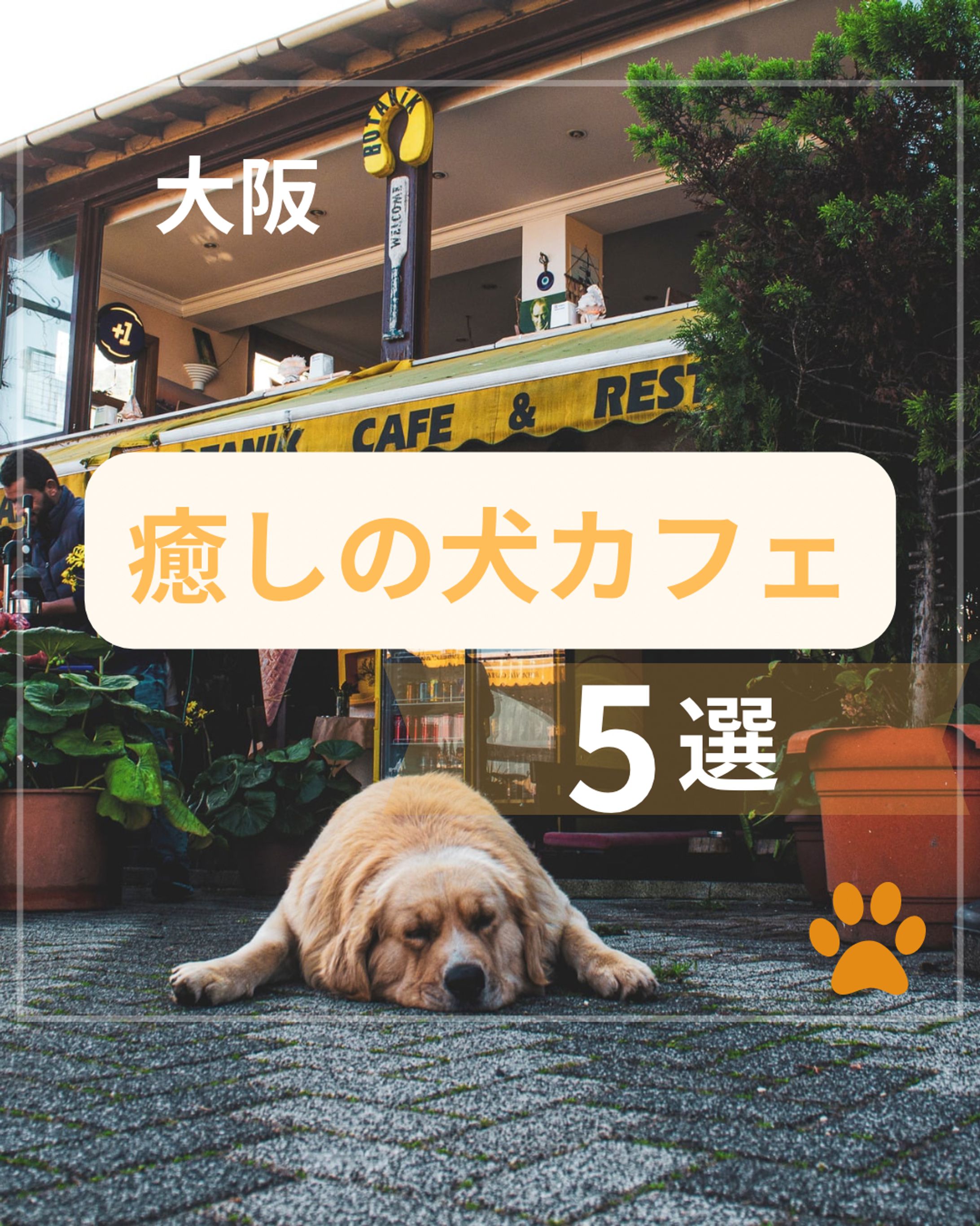 【カフェ】イヌカフェ５選-1