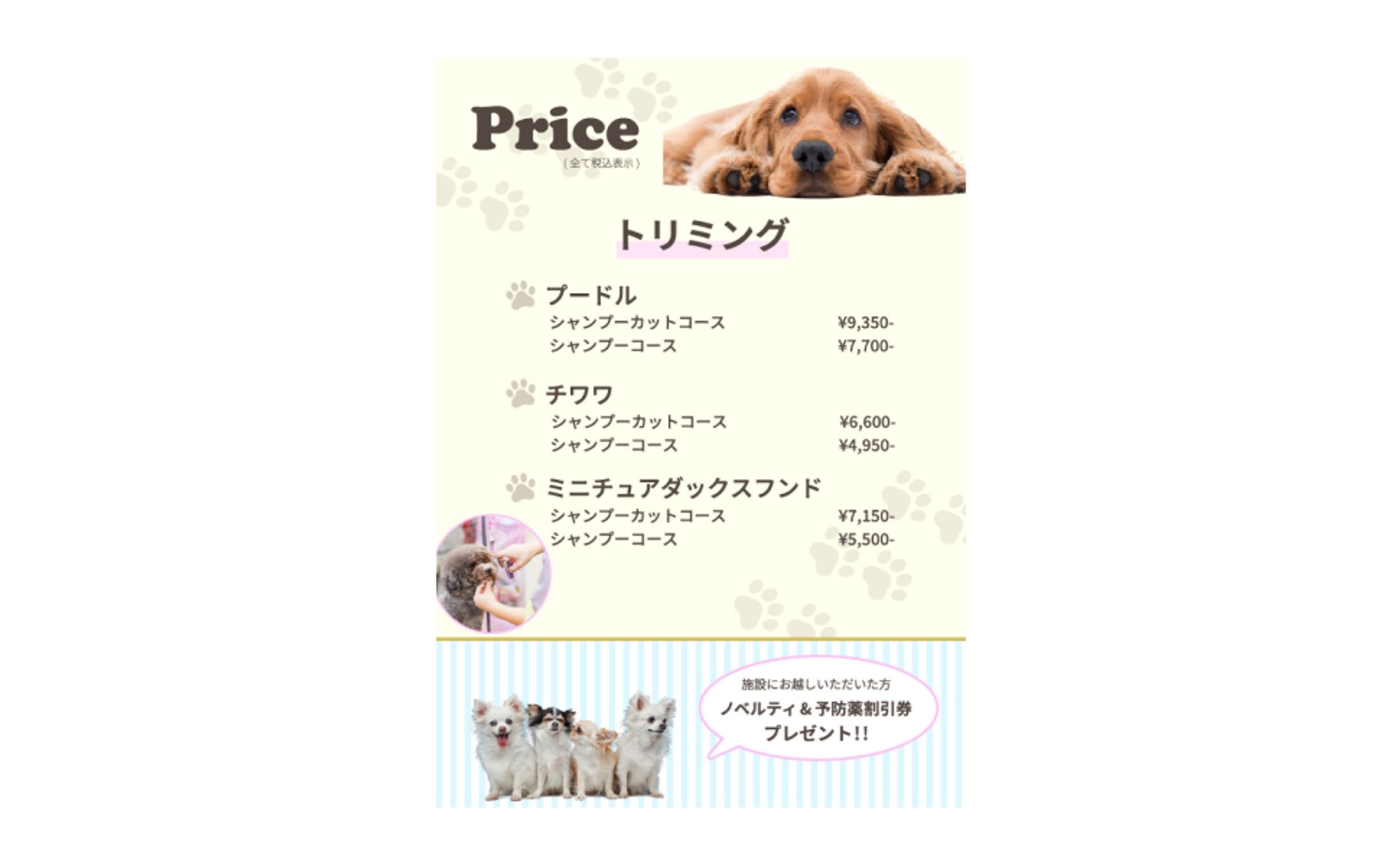 トリミングサロンのメニュークリエイティブ-1