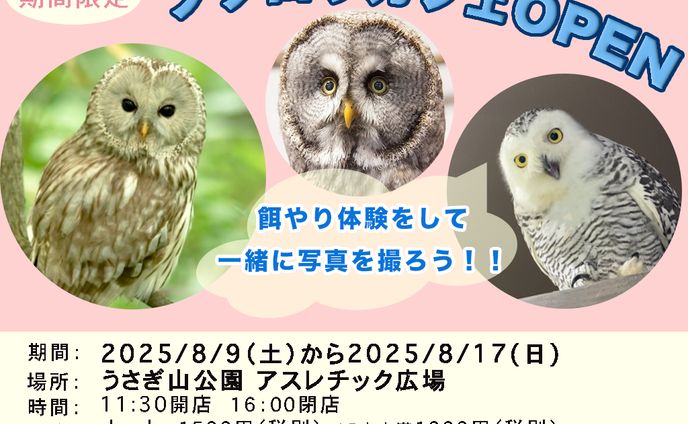 フクロウカフェopenバナー