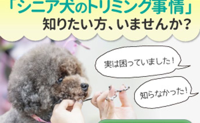 【実績】ペットケアステーション大阪様　シニア犬トリミング教室バナー