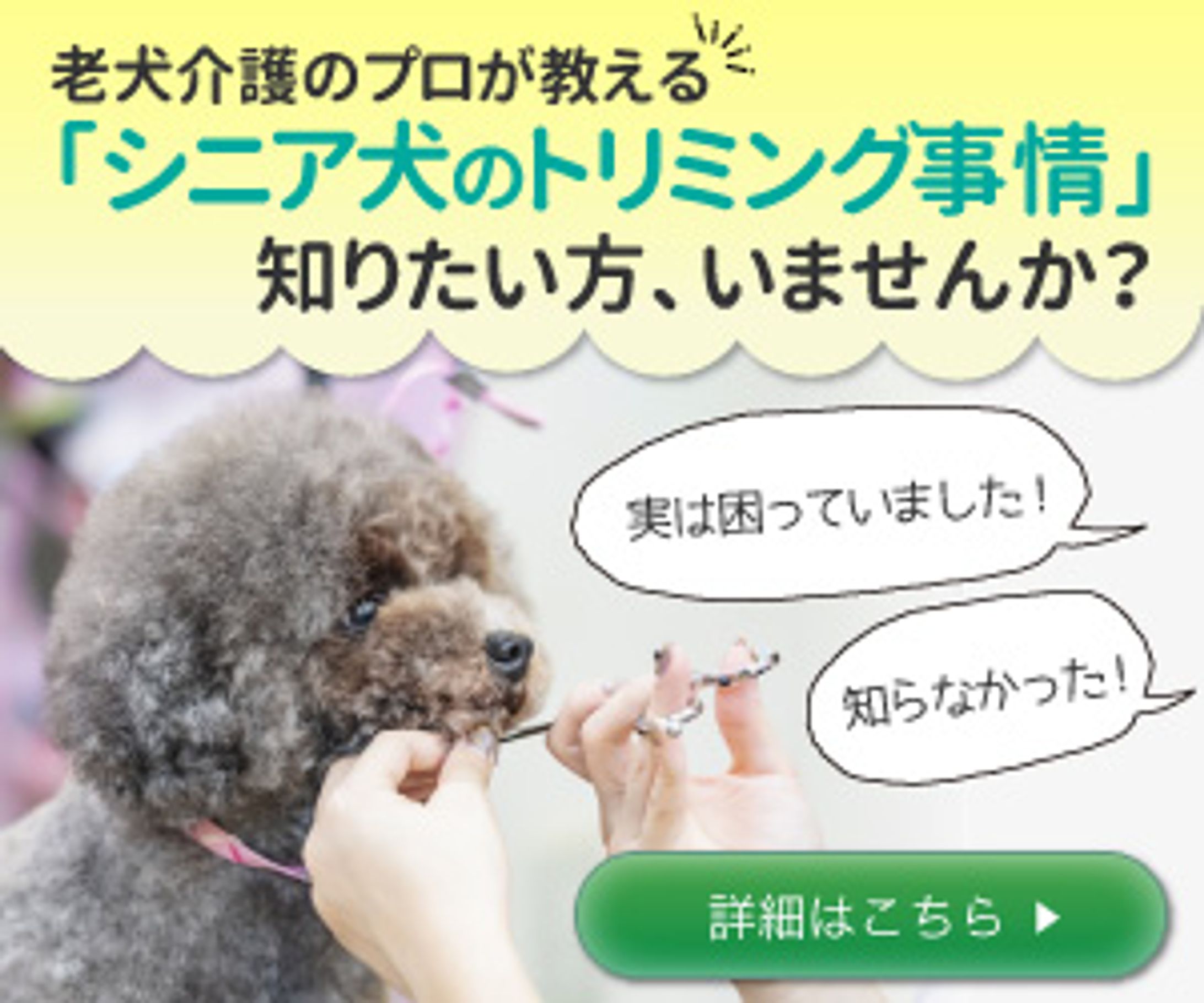 【実績】ペットケアステーション大阪様　シニア犬トリミング教室バナー-1