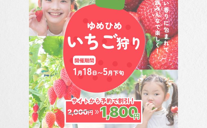 イチゴ狩りインスタ広告