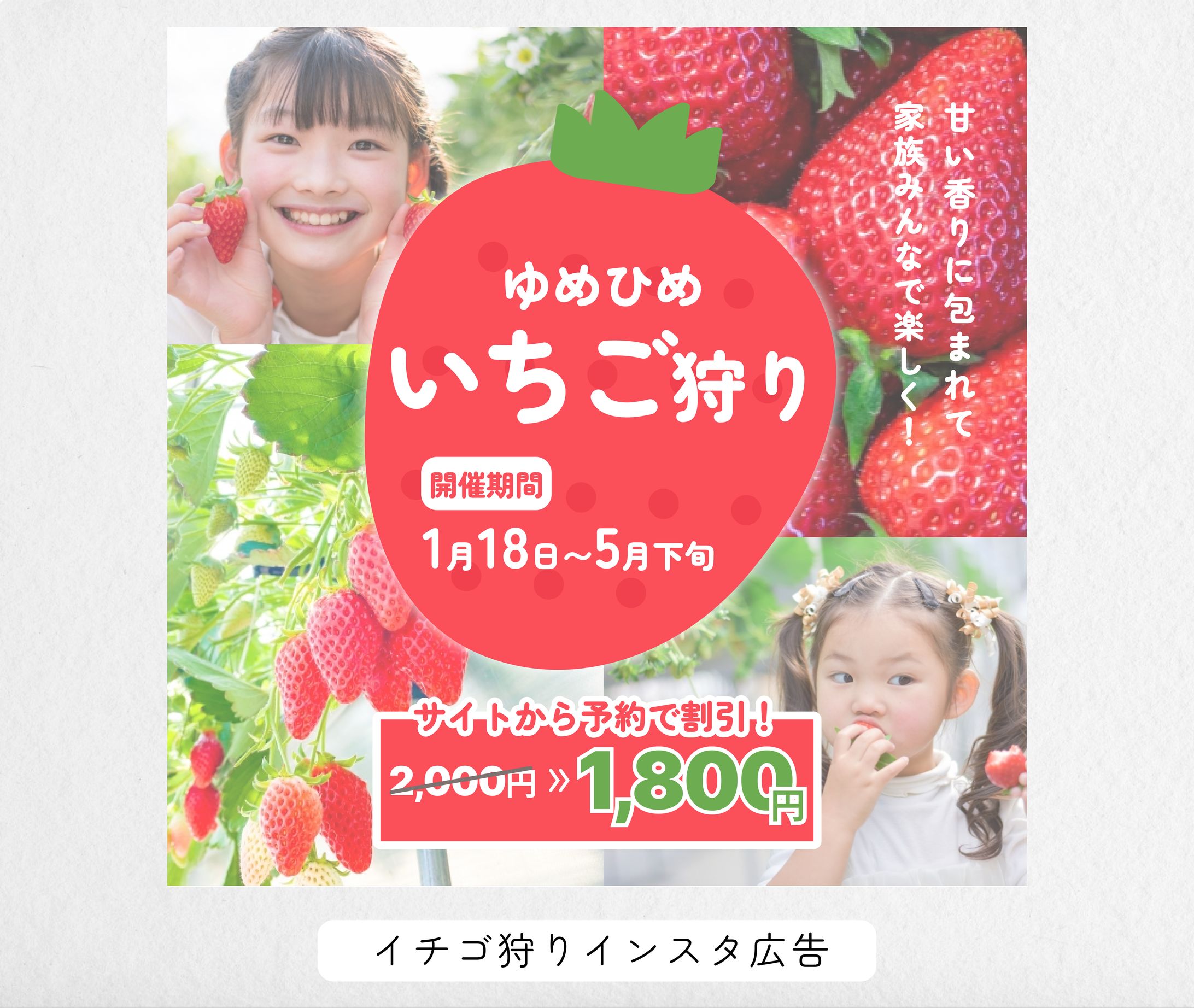 イチゴ狩りインスタ広告-1