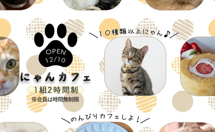 *2025.11.01*にゃんカフェ