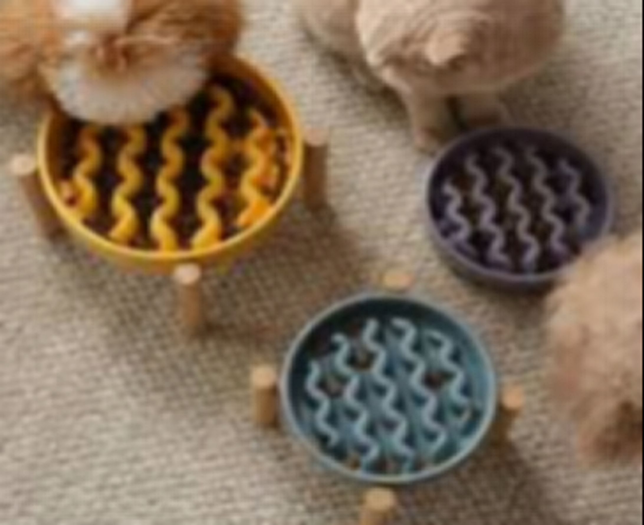 犬猫用品業界、2032年までに48256百万米ドル規模へ拡大見込み-1