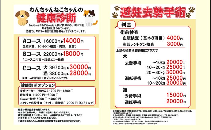 動物病院の健康診断チラシ