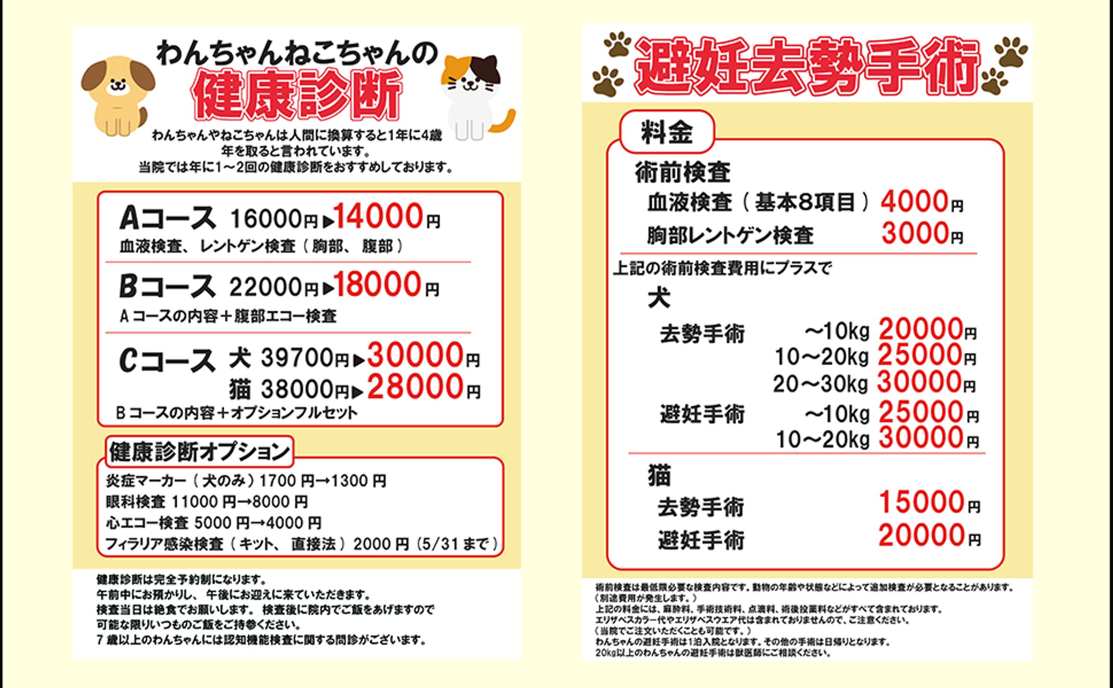 動物病院の健康診断チラシ-1