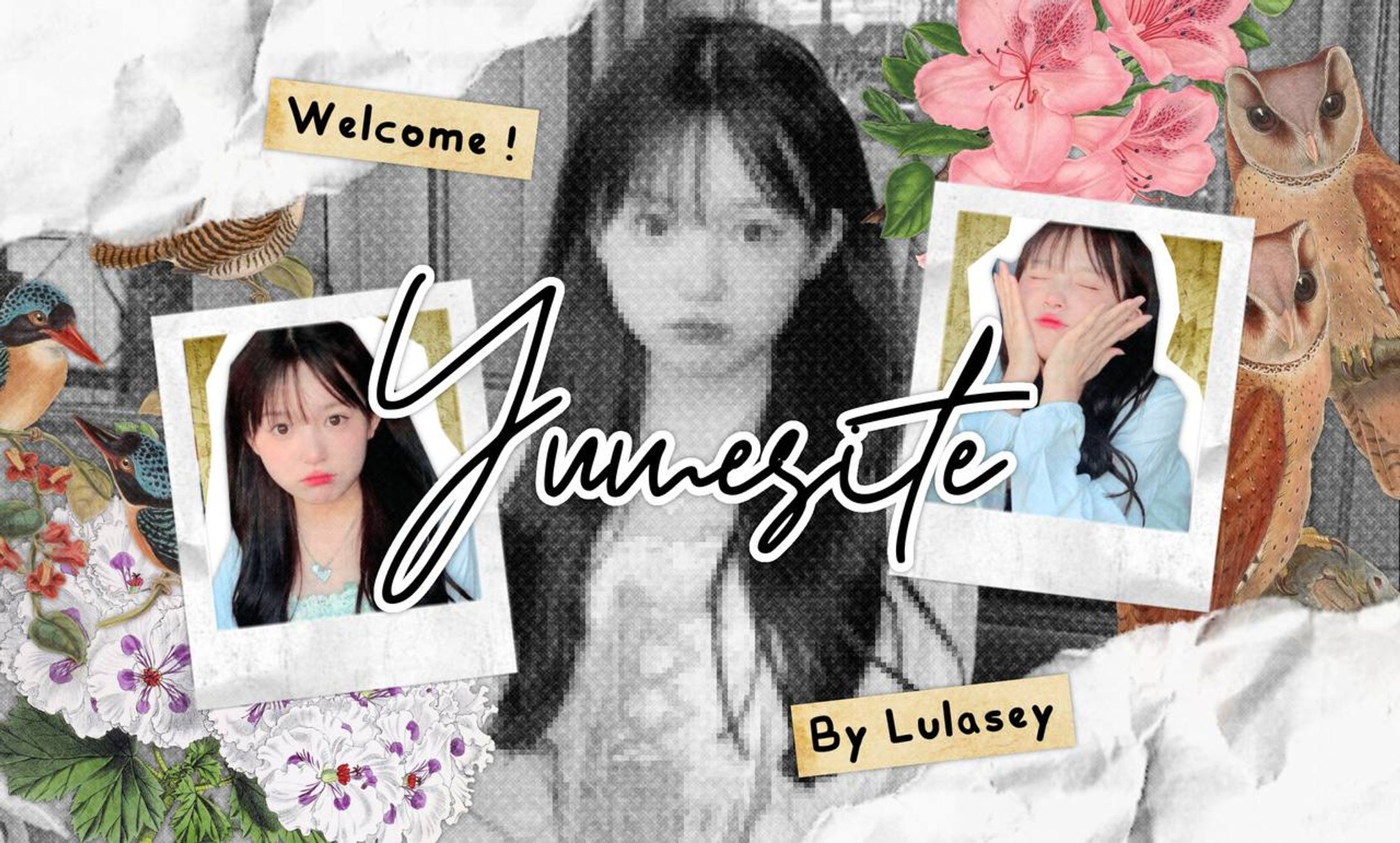 setup for yumesite-1