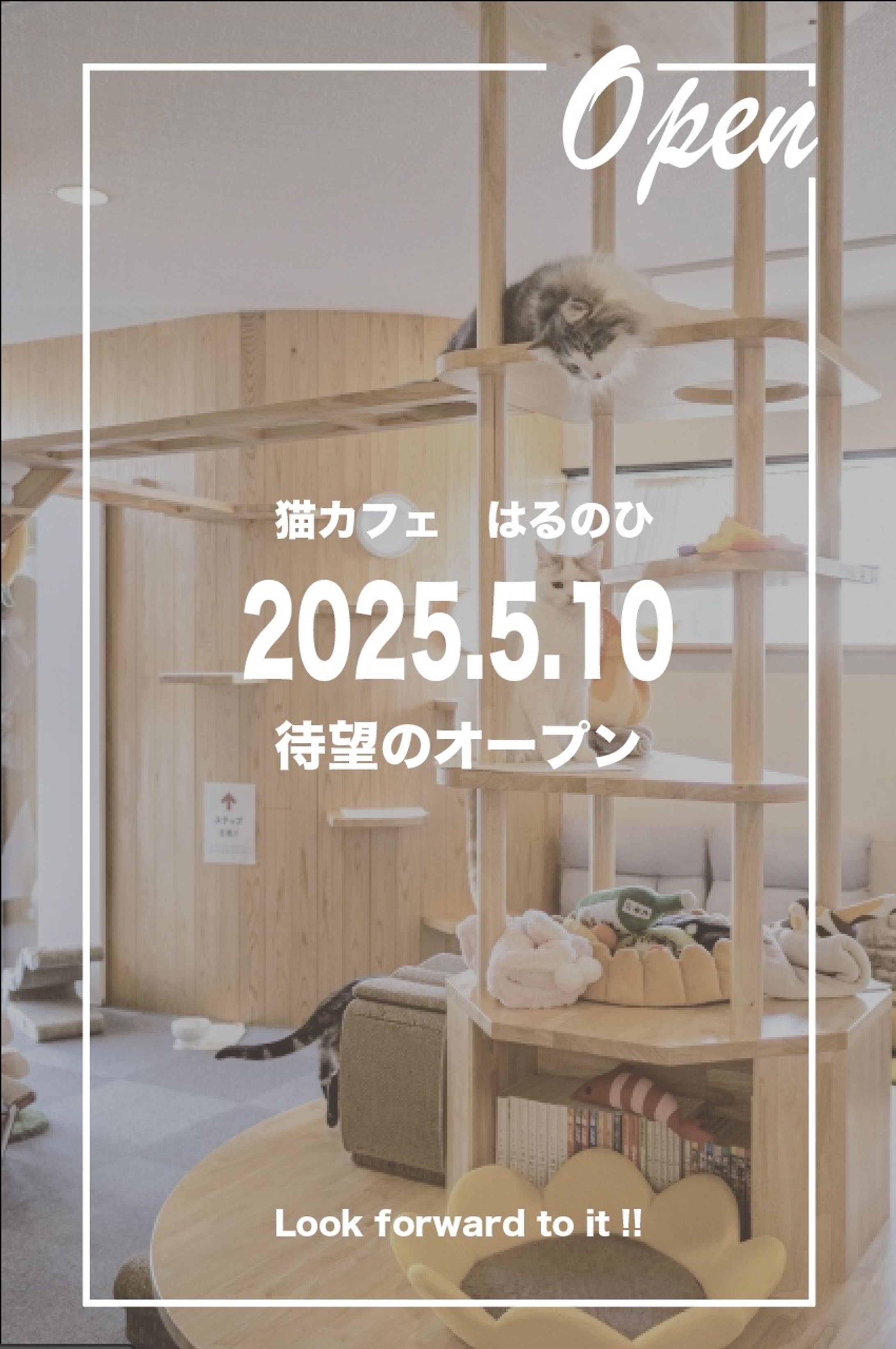 猫カフェチラシ②-1