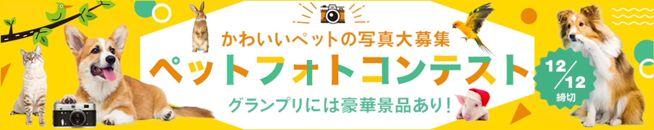 バナー：ペットフォトコンテスト-1