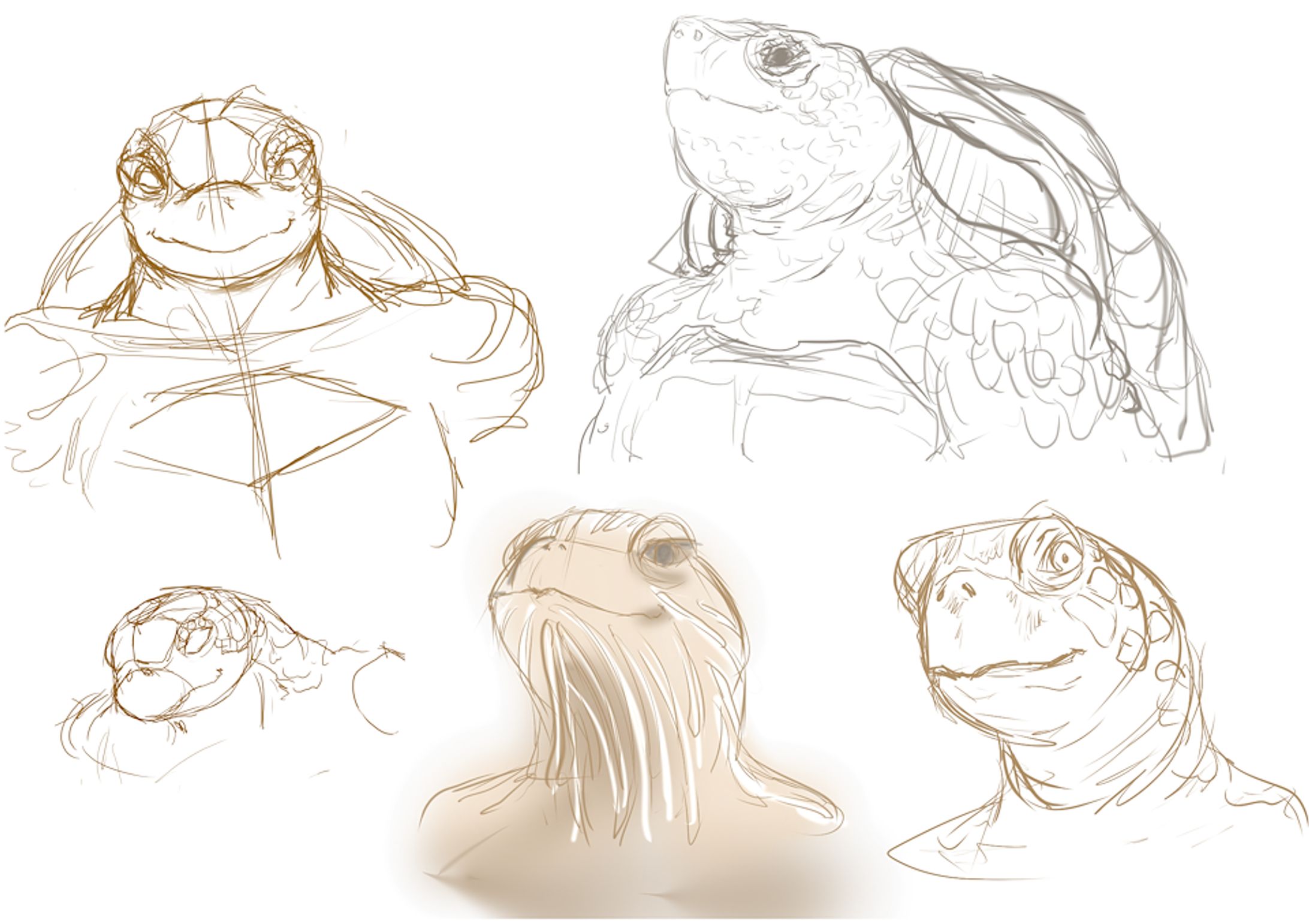 Turtleborn -1