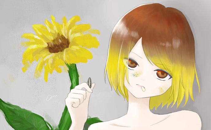 ひまわり