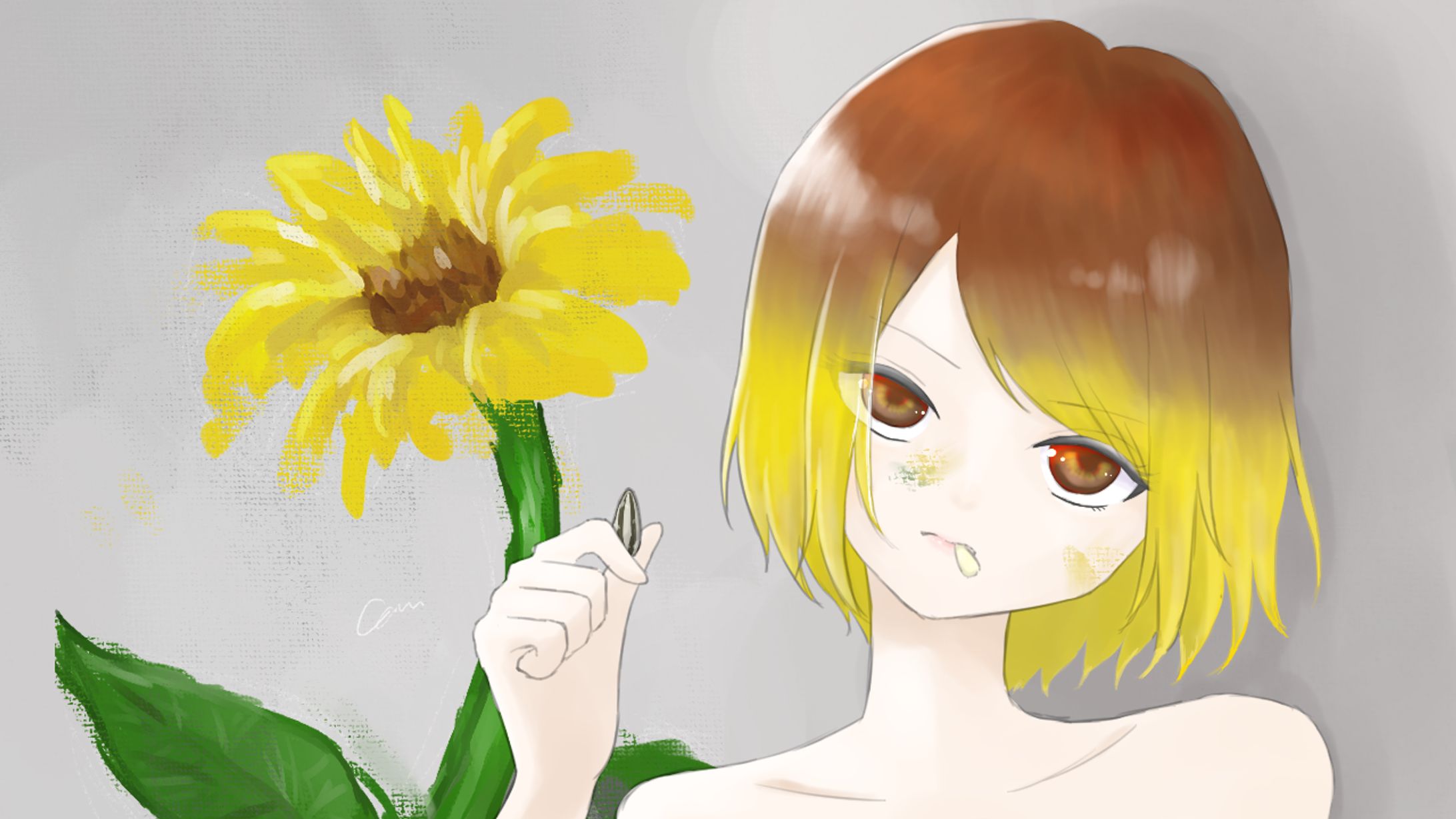 ひまわり-1
