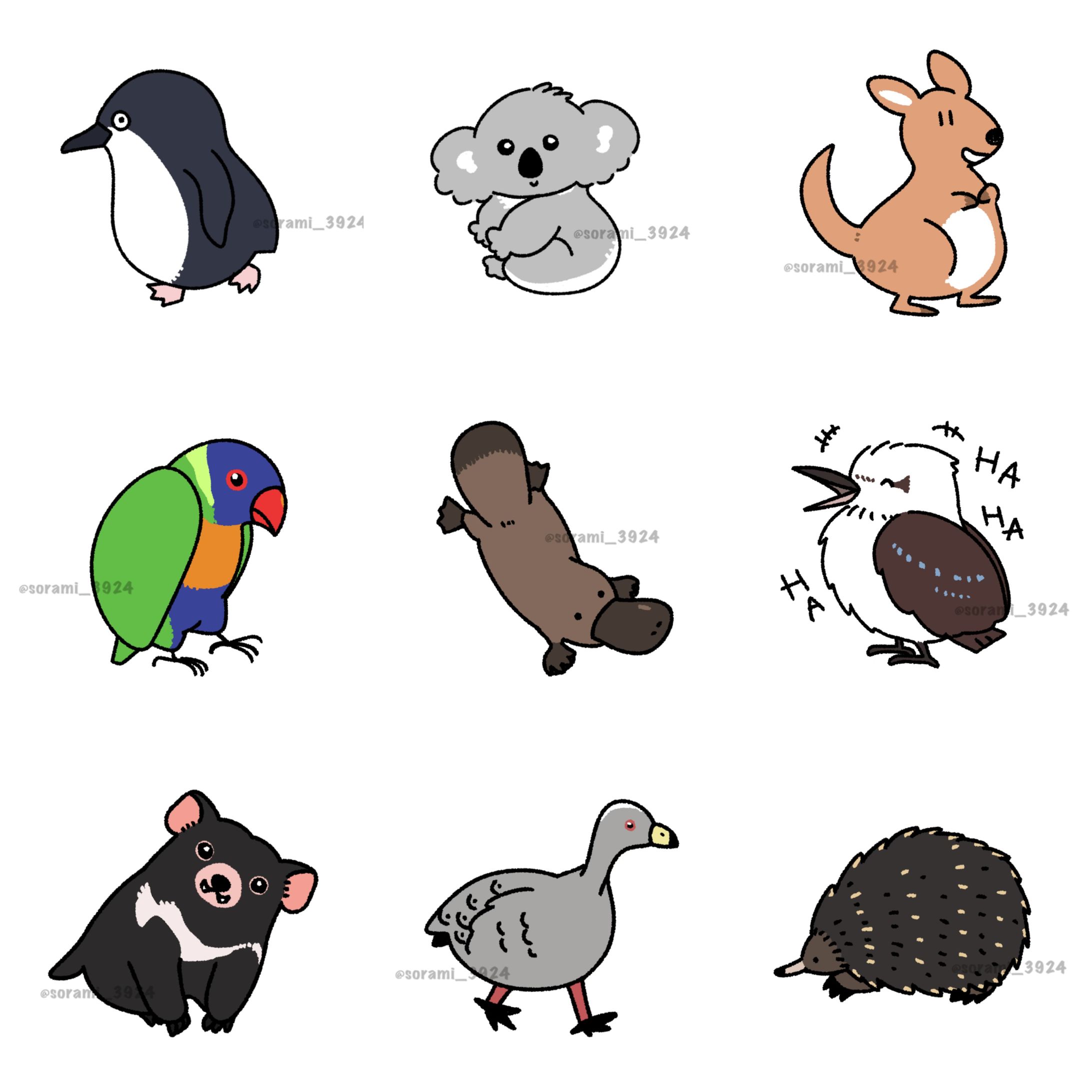 オーストラリアの動物まとめ-1