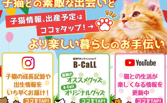 リッチメニュー