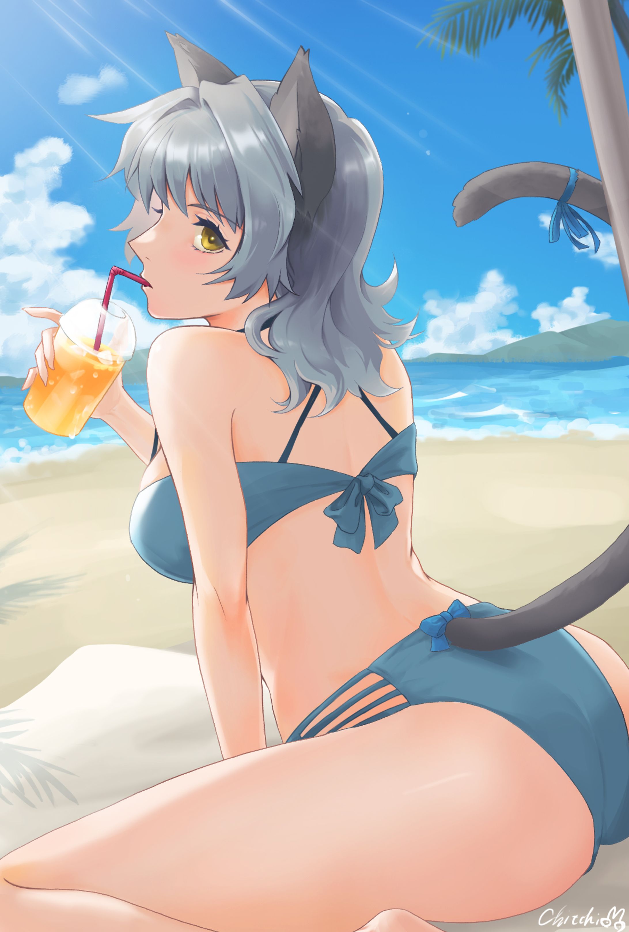 ビーチ-1