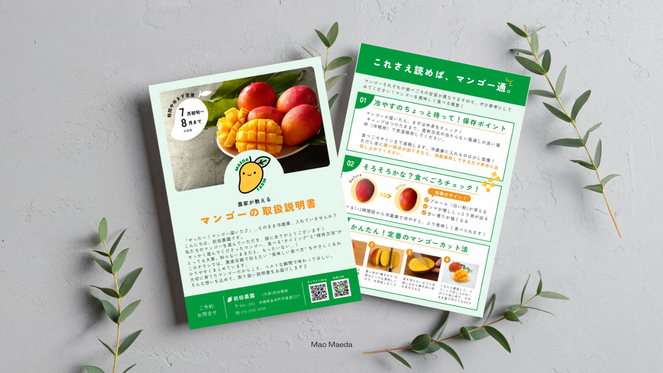 マンゴー農家 | チラシ作成-1