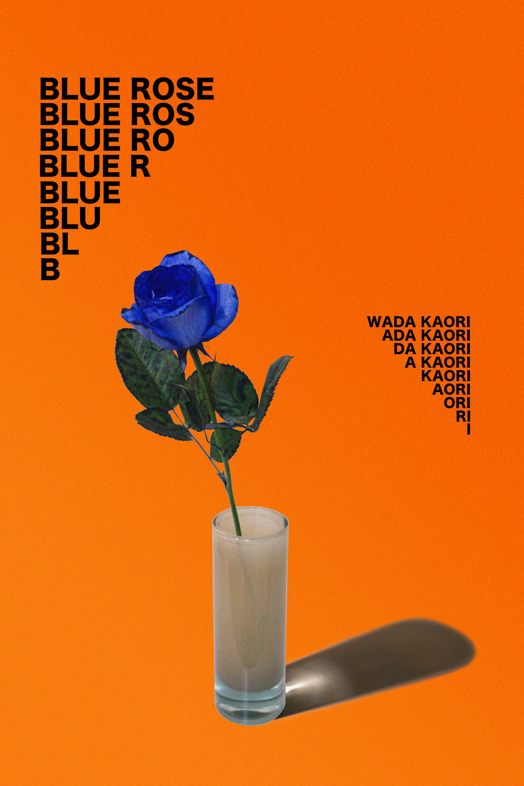 BULE ROSE-1