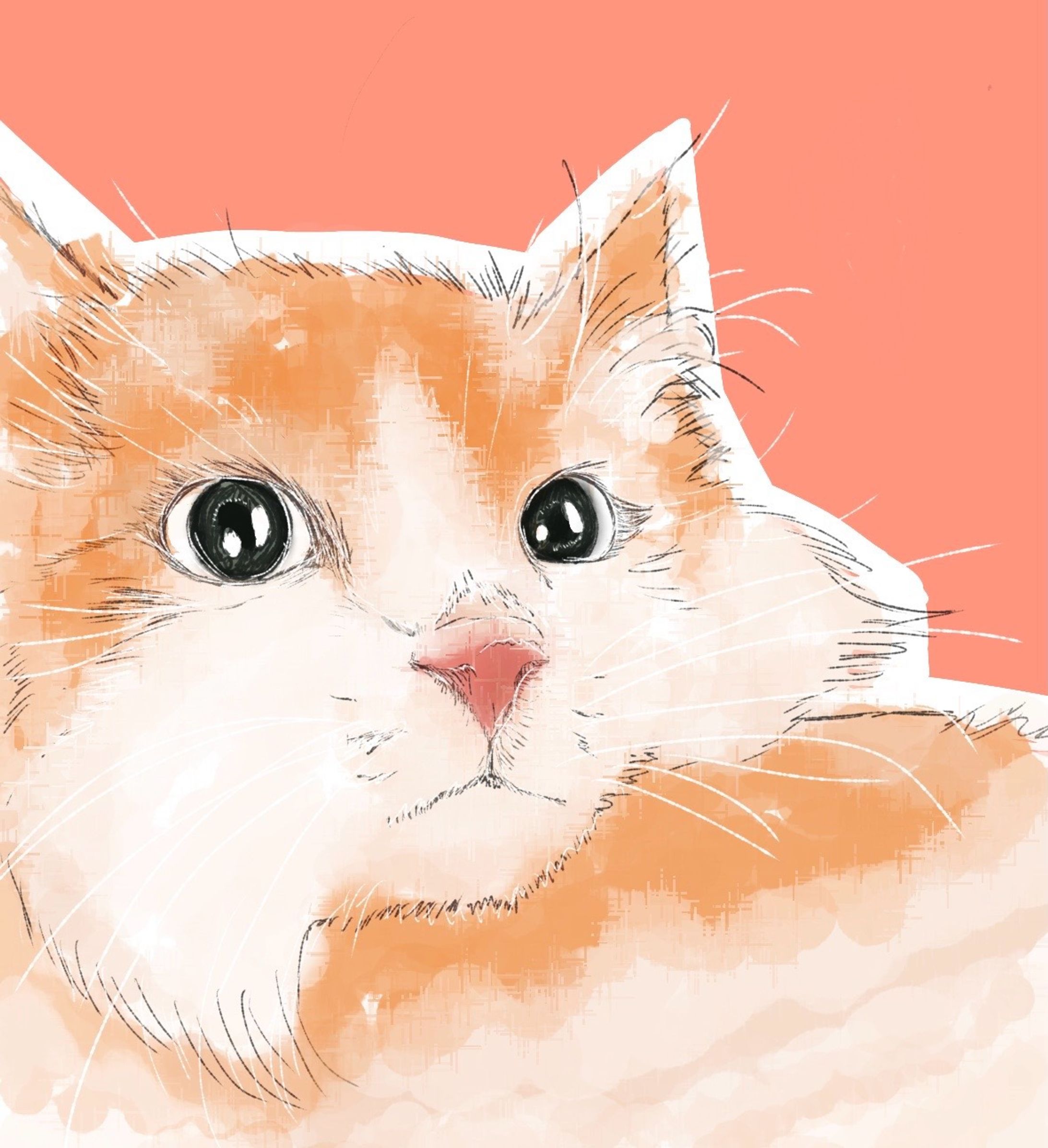 猫イラスト（水彩風デジタル塗り）-1