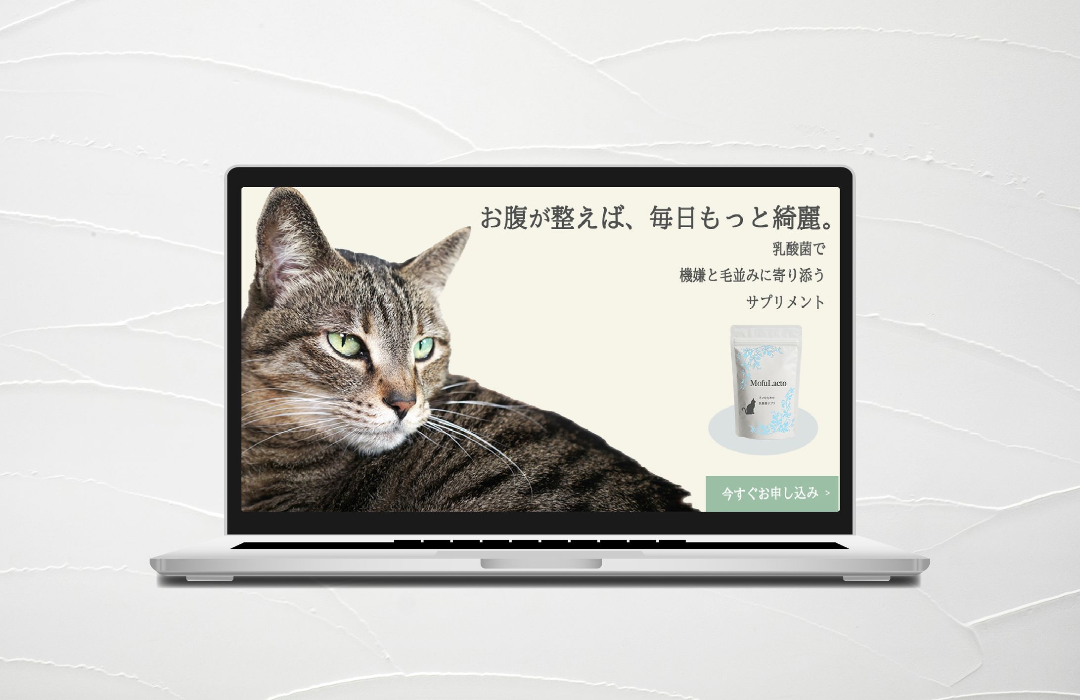 LP｜猫用サプリメント-1
