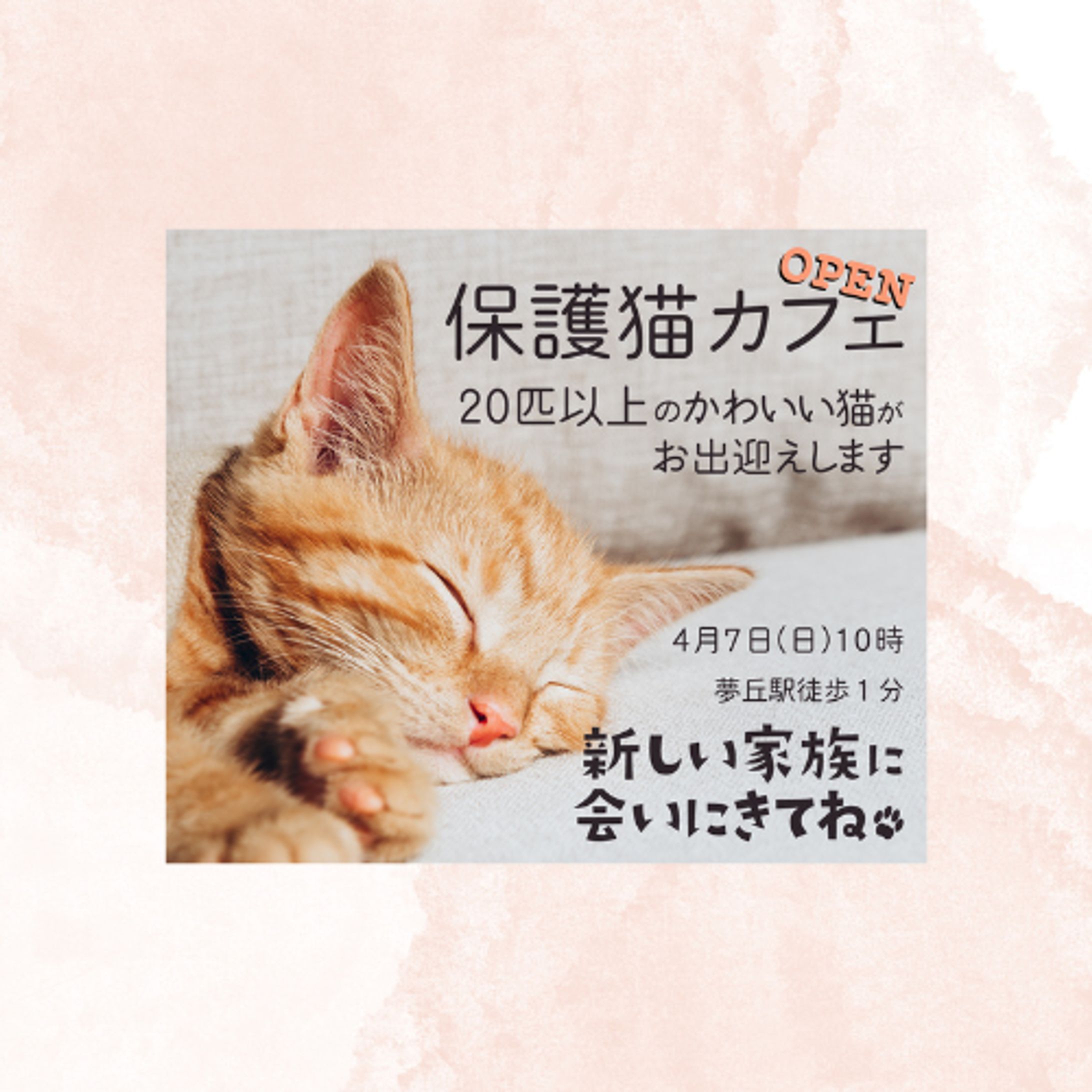 バナー　保護猫カフェ　お題サイトより-1