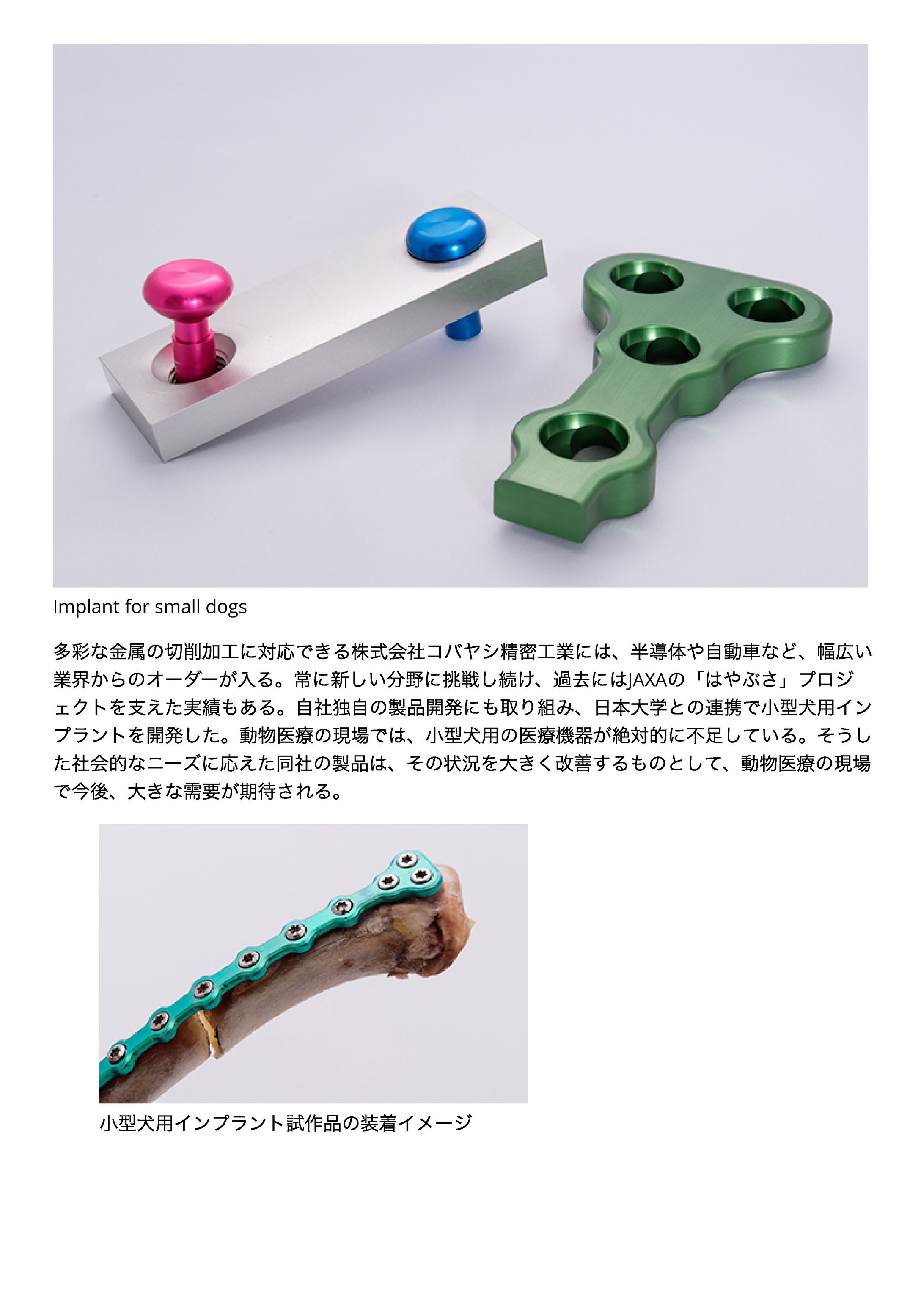 冊子/企業広告-1