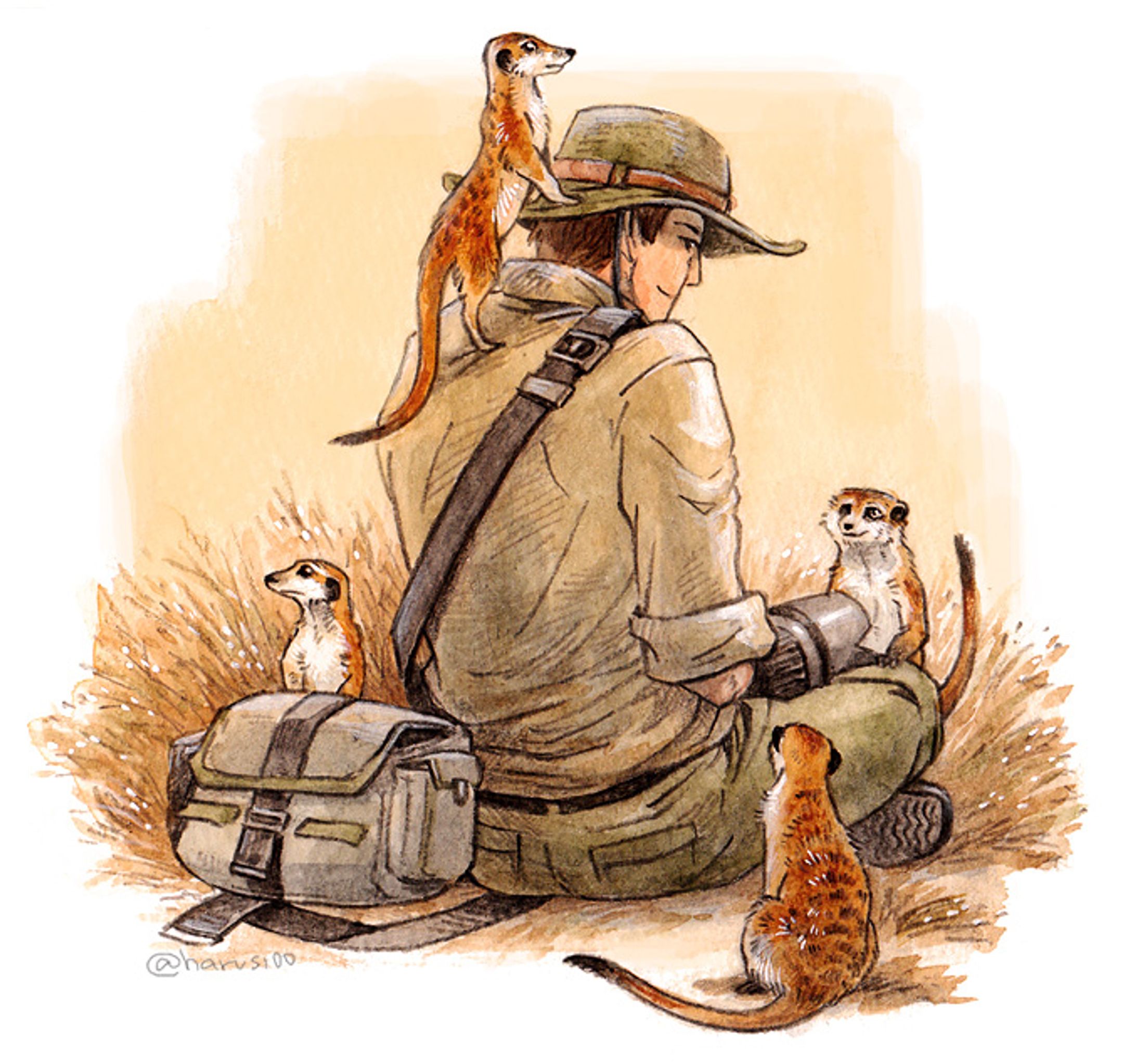 ミーアキャット-1