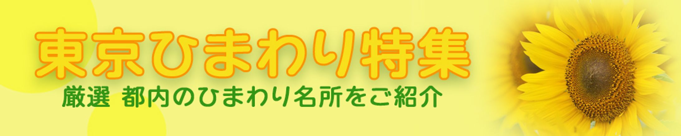 バナー：ひまわり特集-1
