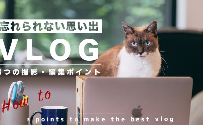 vlog、イベント告知