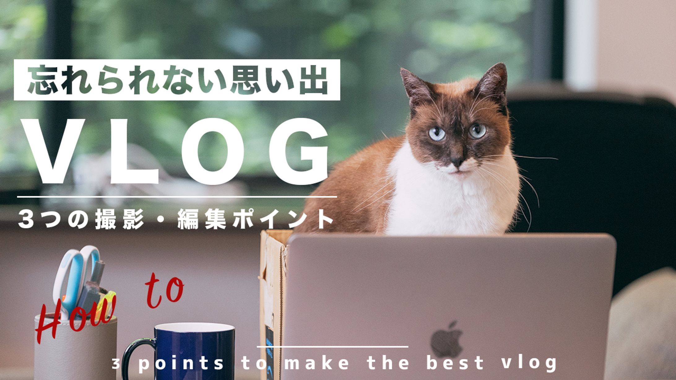 vlog系２-1