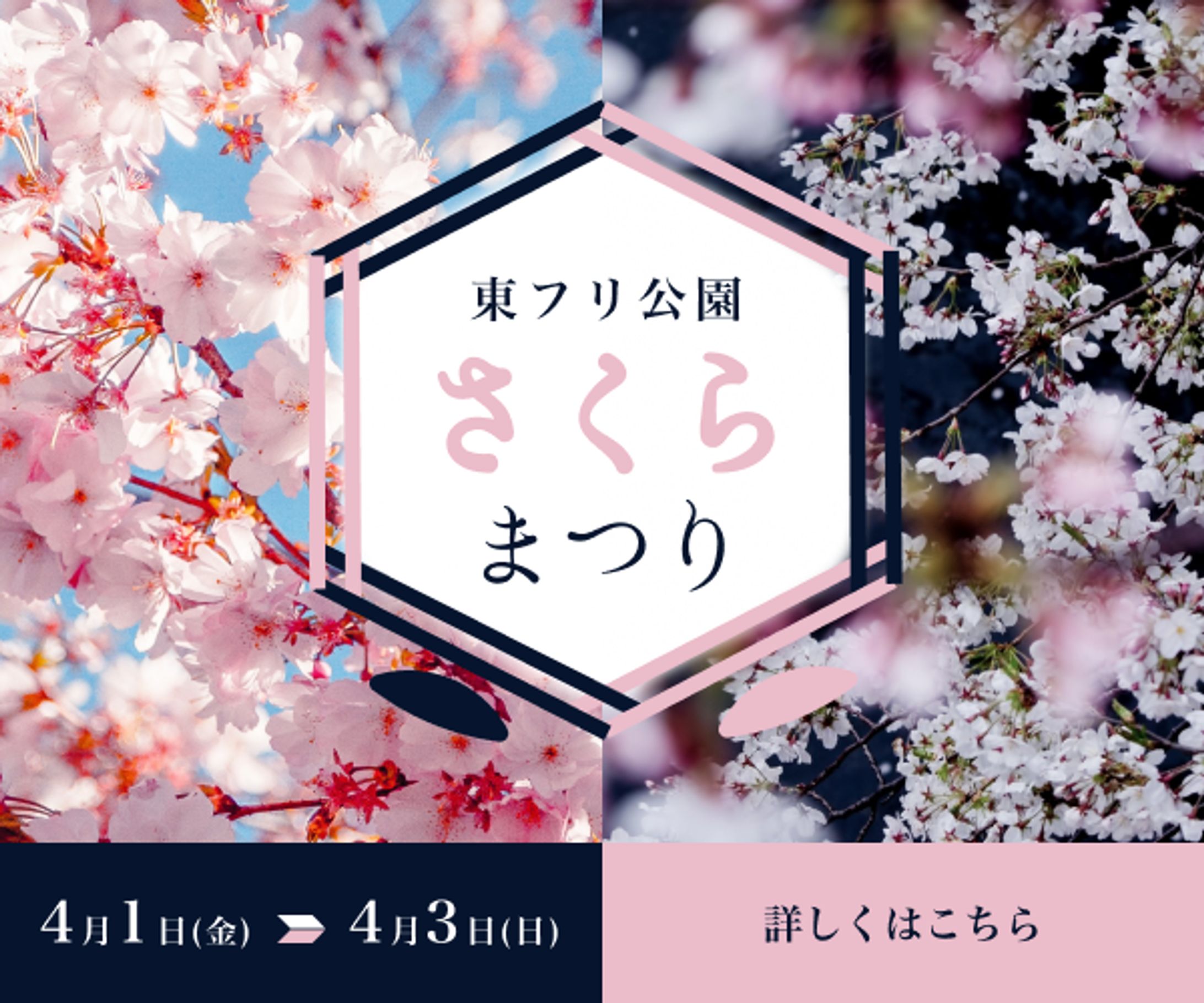 東フリ公園さくらまつり-1