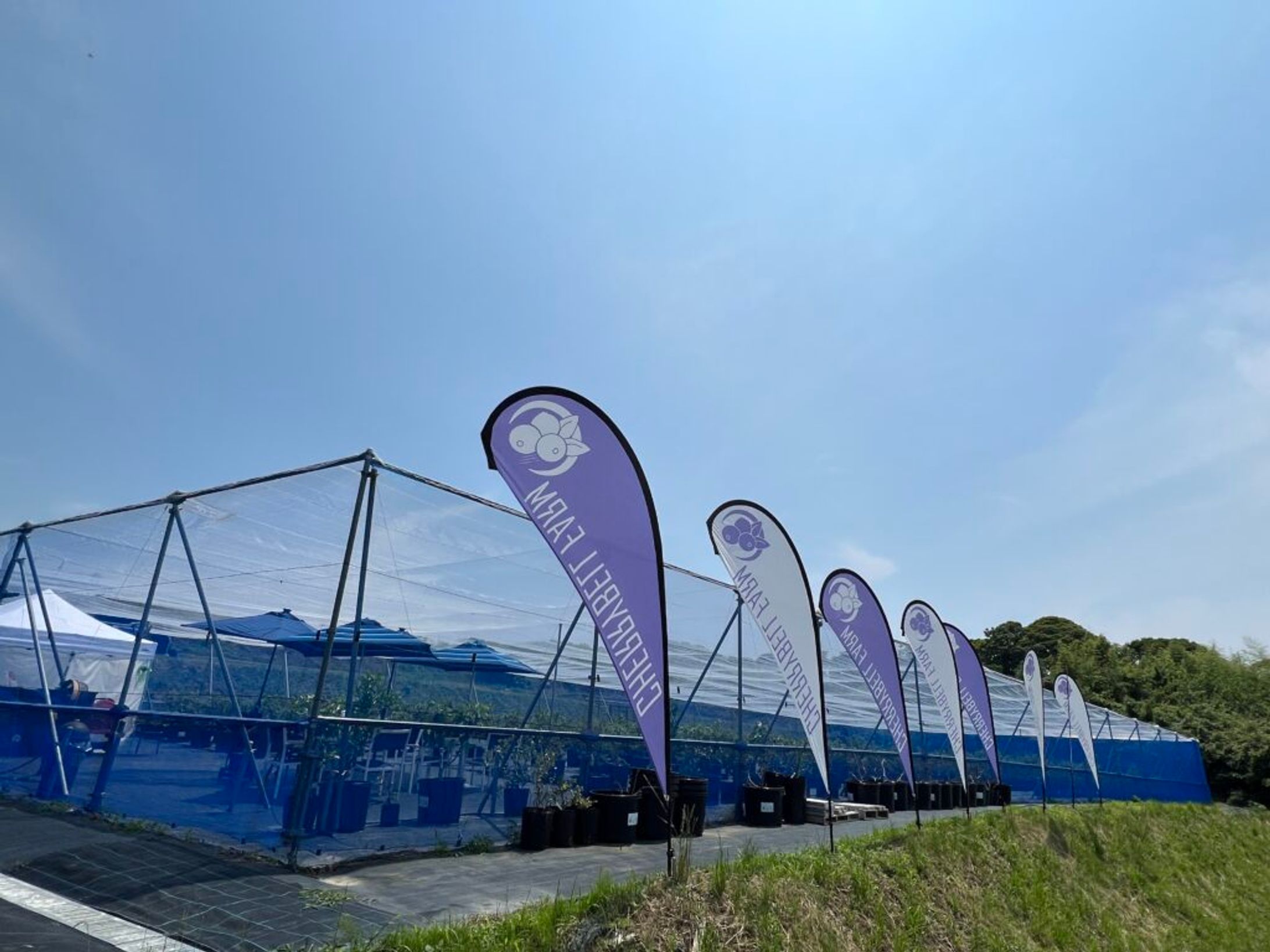 CHERRYBELL FARM ｜PR ITEM-1