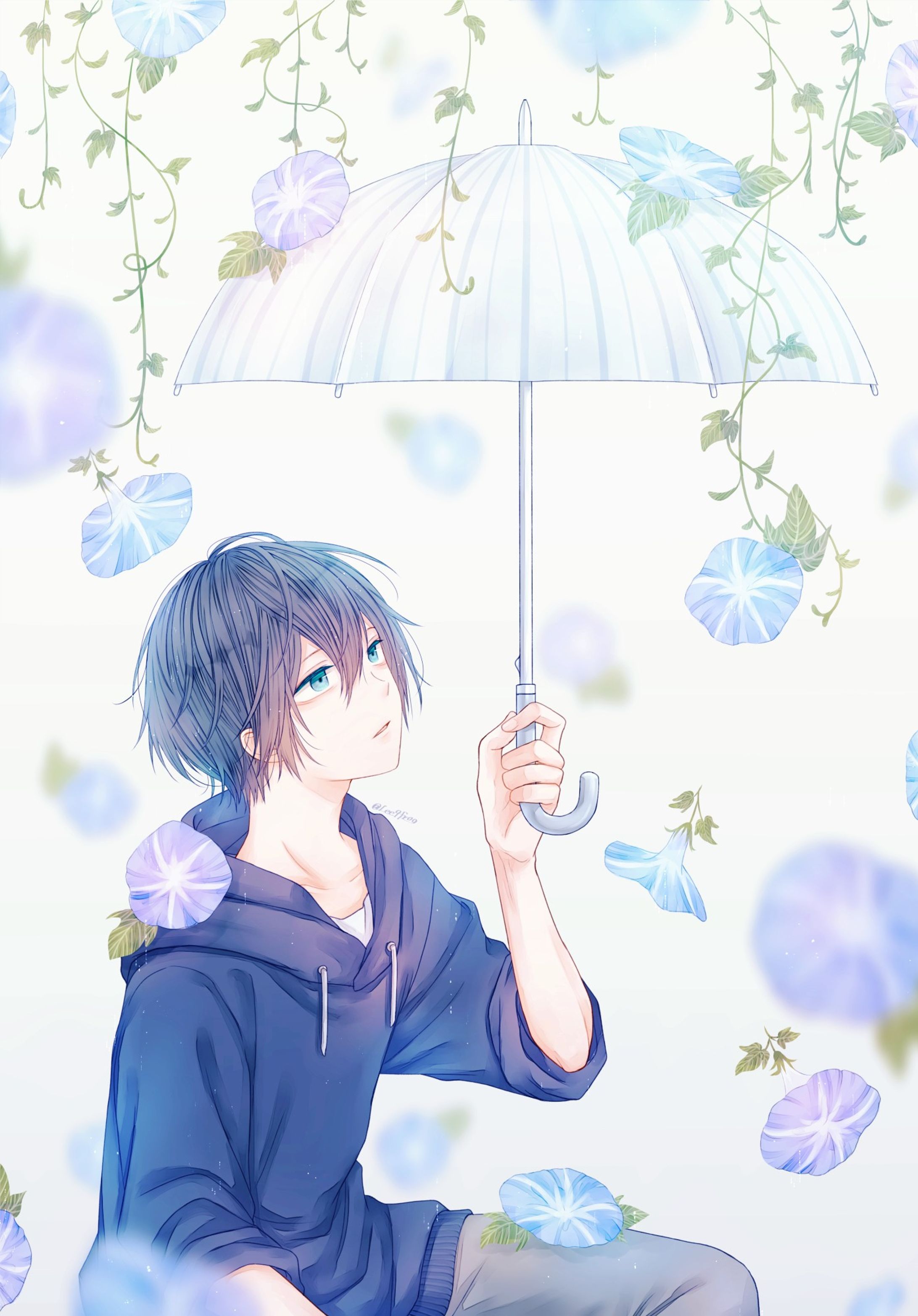 朝顔雨-1