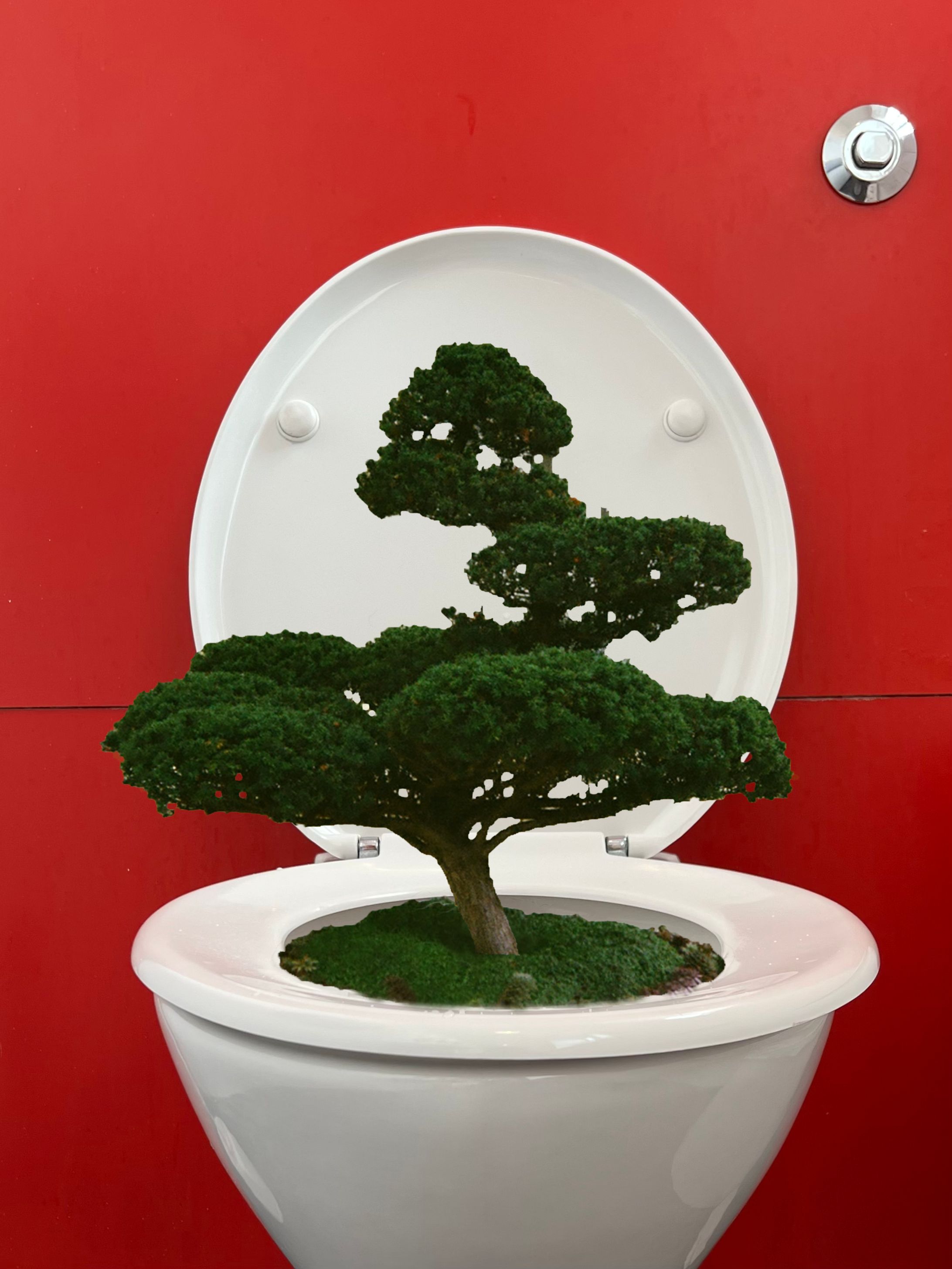 toilet garden-1
