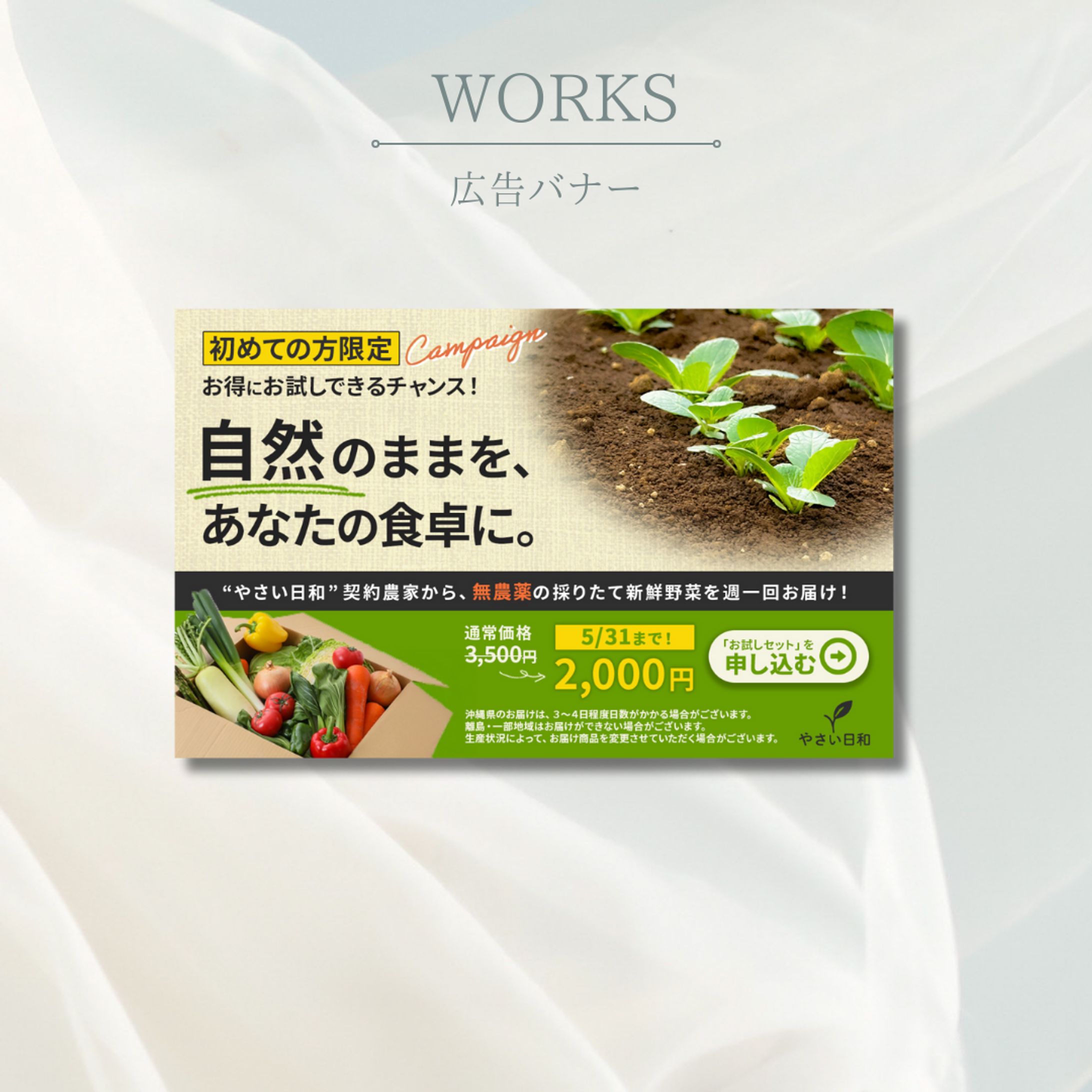 野菜サブスク-1