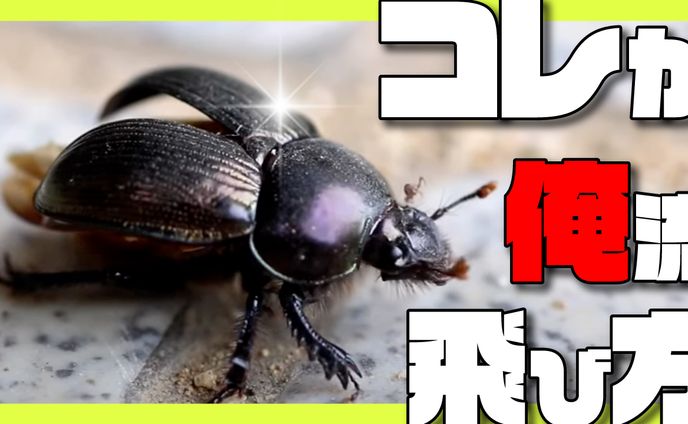 動画用イラスト、youtubeサムネ