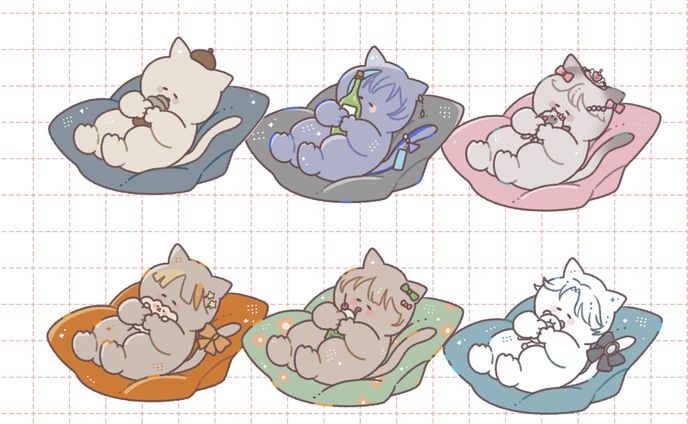 猫、企画