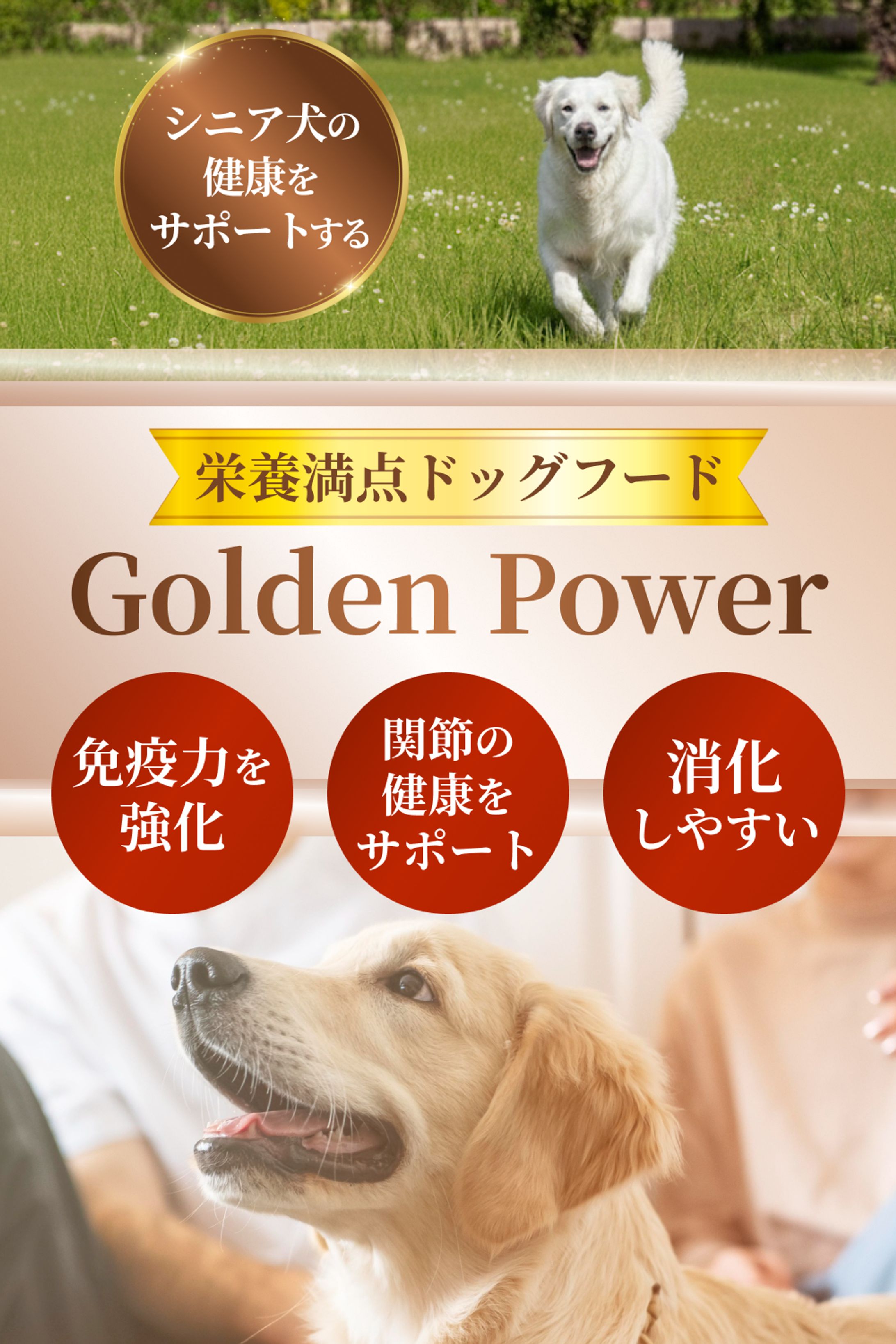 【自主作品】ドックフードバナー-1