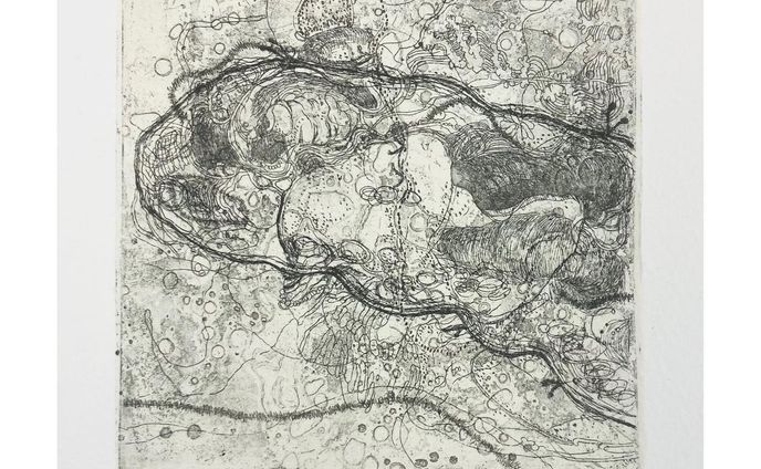 "chromosomes"
10㎝×10㎝
#etching
#aquatint
#銅版画
#artworks
近くに寄って見てみてください。