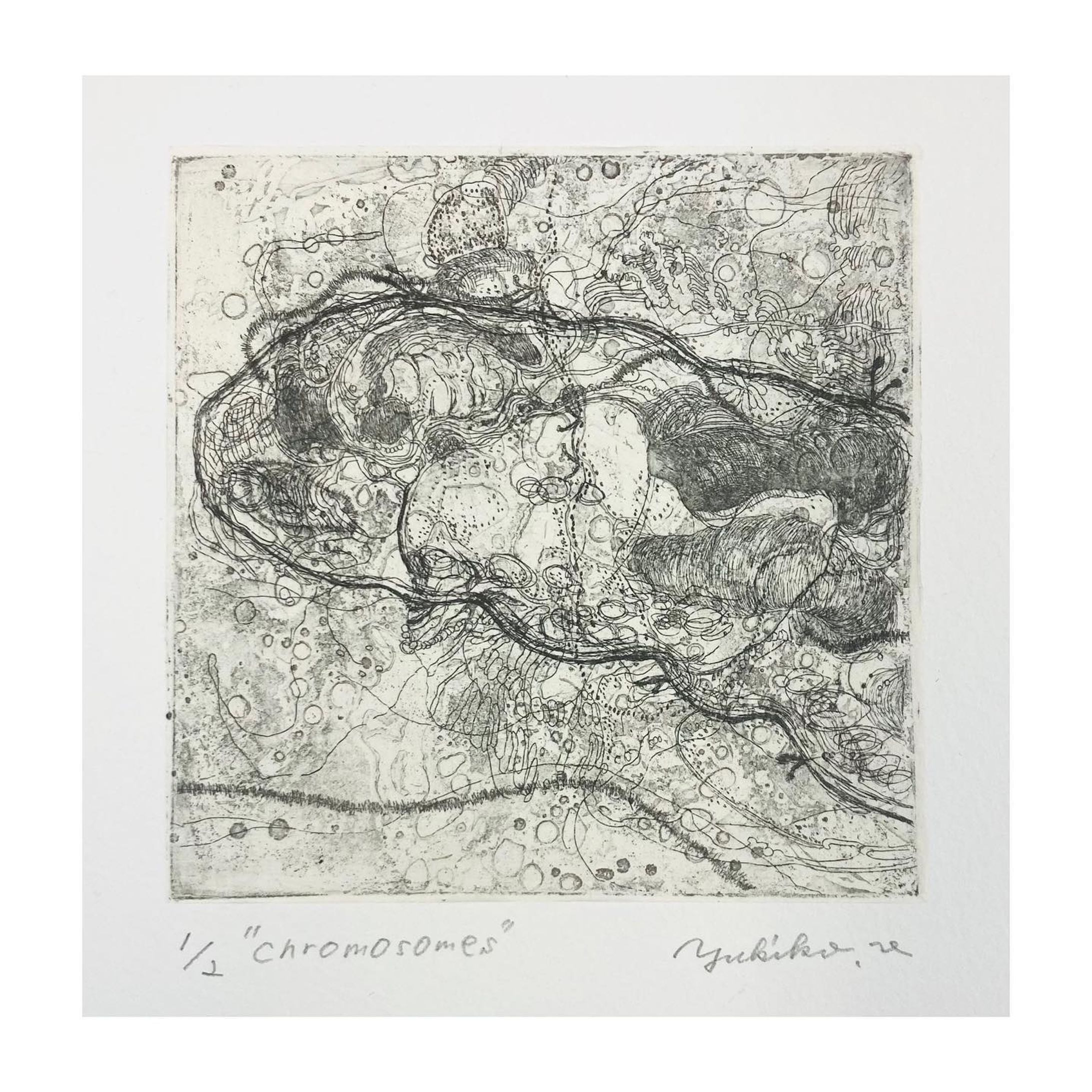 "chromosomes"
10㎝×10㎝
#etching
#aquatint
#銅版画
#artworks
近くに寄って見てみてください。-1