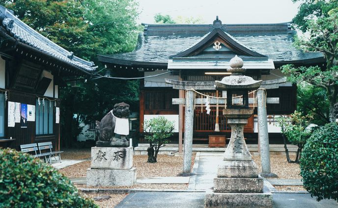 雨の神社