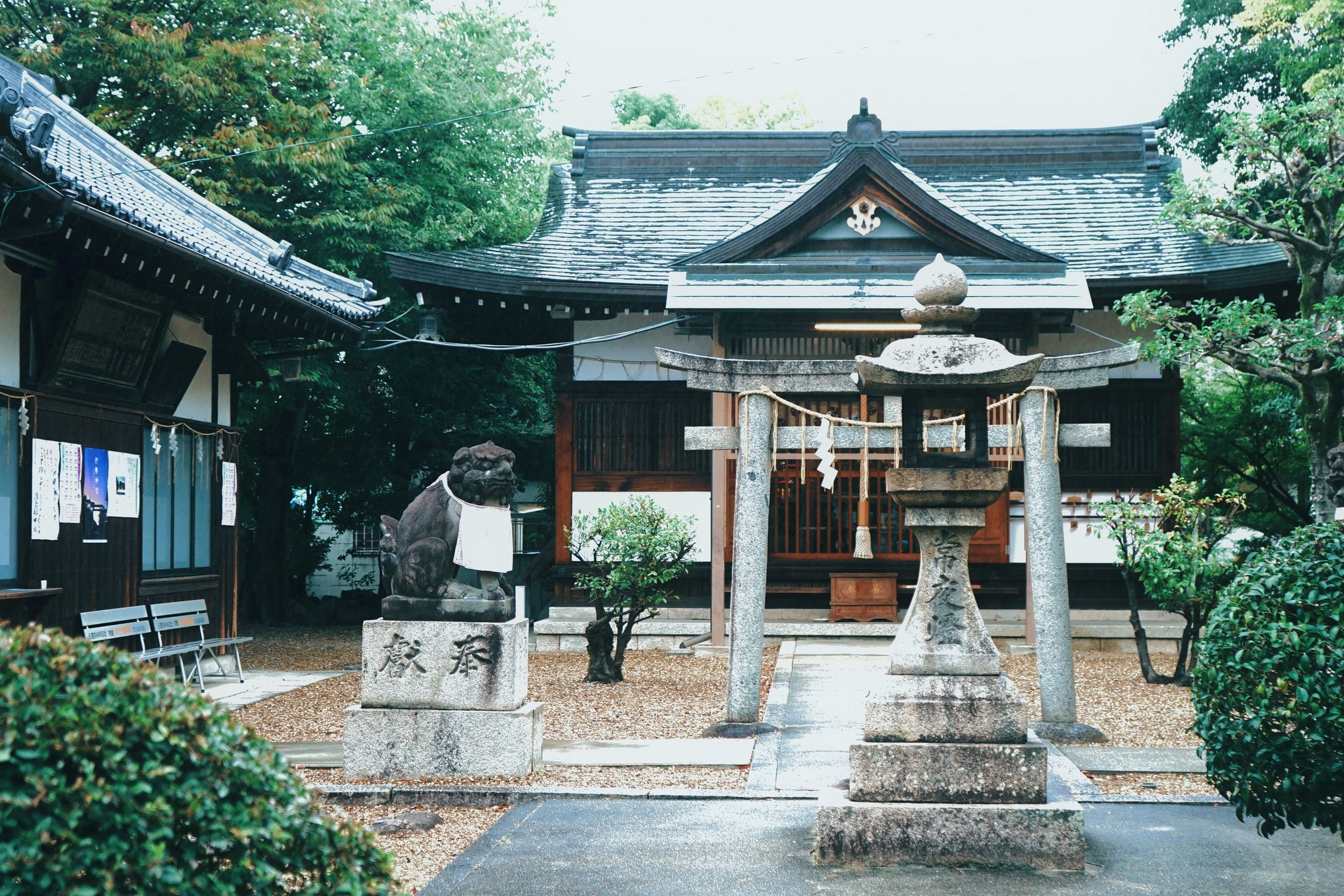雨の神社-1
